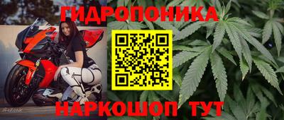 стафф Бузулук