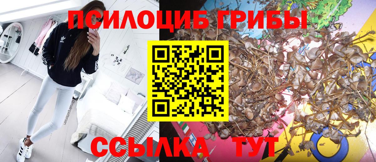 Псилоцибиновые грибы Magic Shrooms  Вход с VPN  Лиски 